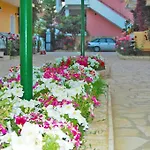 Lemon Grove And