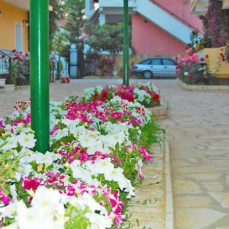 Lemon Grove And